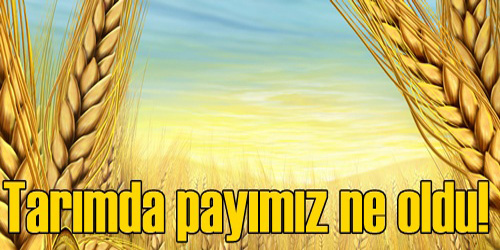 Tarımdaki Katma  Değerimiz Açıklandı