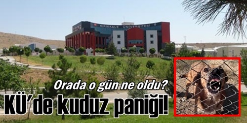 Üniversitede kuduz paniği!