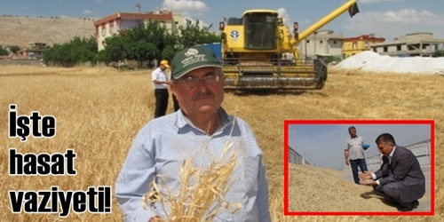 Bozkırda kuraklık büyük