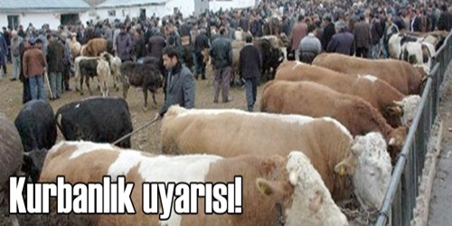Kurbanlık alırken dikkatli olun