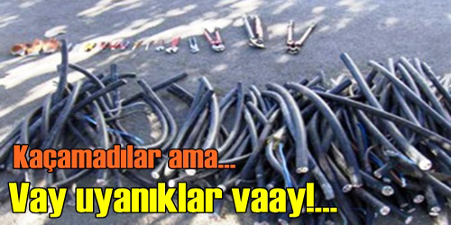 Yakalandılar