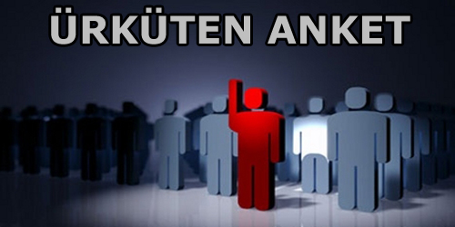 Anketin Böylesi