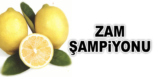 Zam Şampiyonu Limon