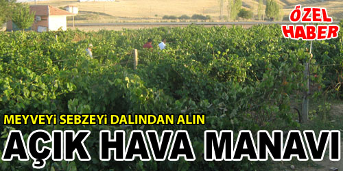 Dalından Meyve Sebze Ayrıcalığı