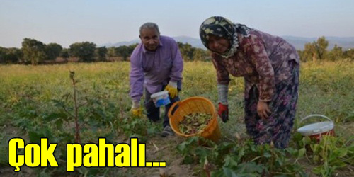 Pahalı Satılıyor