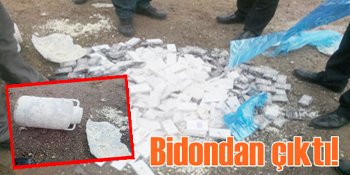 Peynir Bidonundan Çıktı