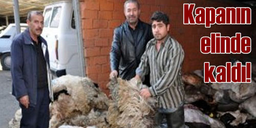 Deri Toplama Yarışı!