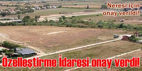 Özelleştirmeye onay