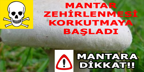 MANTAR ZEHİRLENMELERİNDE ARTIŞ