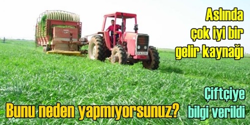 Çiftçilere yem bitkisi uyarısı 