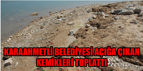 Yeni Mezarlığa Defnettik 