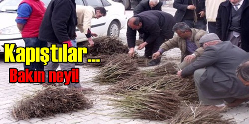 Üreticilere Destek