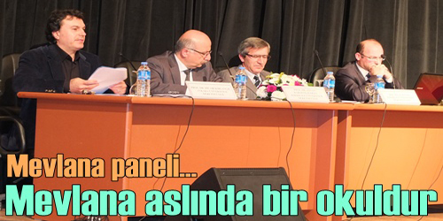 Mevlana Paneli