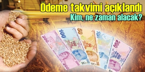 Destekleme ödemesi başlıyor