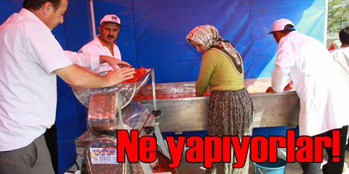Ev Yapımı Salça