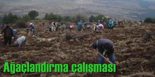 Çalışma Bitirildi