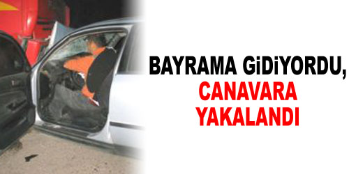 Uzman Çavuş, Kaza Kurbanı