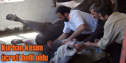 Kesim fiyatları belirlendi