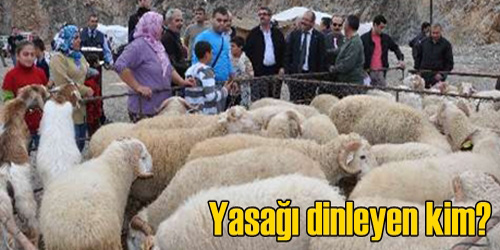 Yasağı Dinlemediler