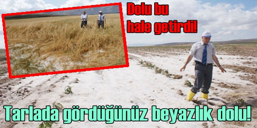 Dolu Ürünleri Vurdu 