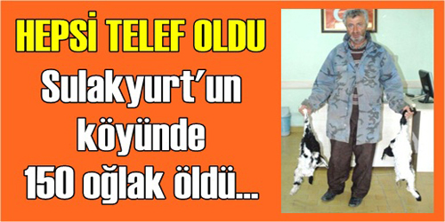 Sulakyurt İlçesinde  150 Oğlak Telef Oldu! 