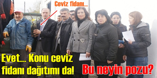 Bu Neyin Pozu!