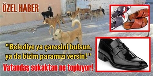 Millet artık sokaktan topluyor!