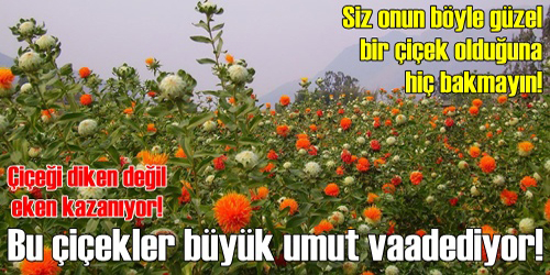 Aspir Umut Vaat Ediyor
