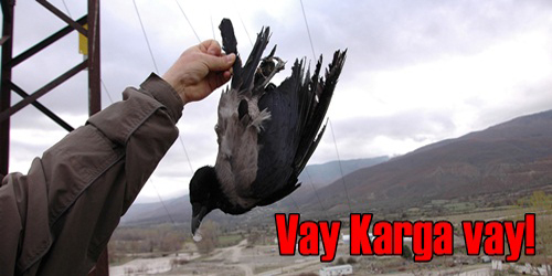 TRAFOYU YAKTI!