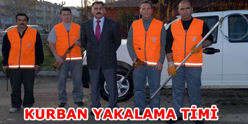 Belediye, Kaçan Kurbanlıkları Yakalayacak