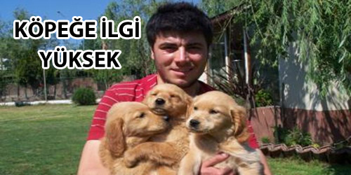 10 Yavrulu Köpek