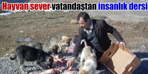 Sahipsiz Hayvanlara Vatandaş Sahip Çıktı