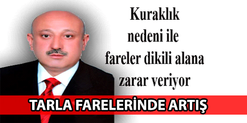Fare Popülasyonun