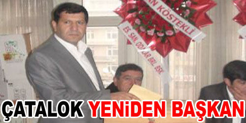Çatalok, Güven Tazeledi