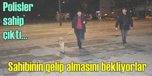 Kaybolan Köpeğe Polis Sahip Çıktı