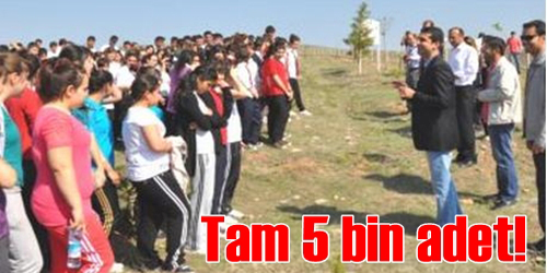 5 Bin Fidan Diktiler