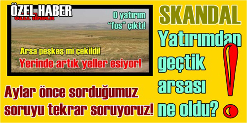 Çerikli
