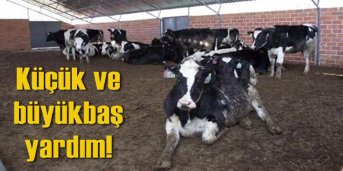 Sosyal Yardım Yardımı!