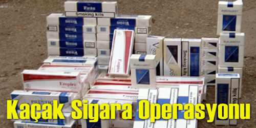 Sigara İle Mücadele