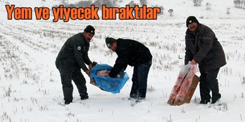 Yaban hayvanlarını unutmadılar