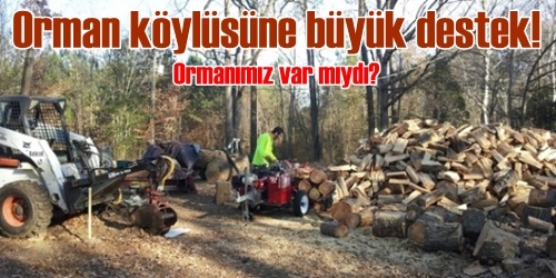 Ormanımız yok ama!
