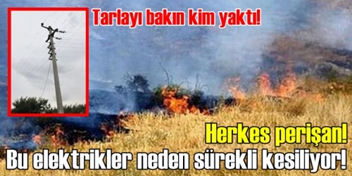 Elektrik teli yangın çıkardı
