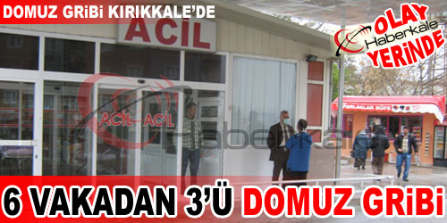 Domuz Gribi Kırıkkale`de!