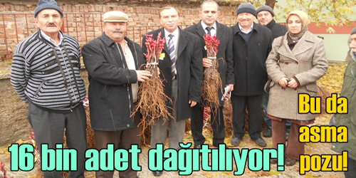 Bu Da Asma Fidanı Pozu!