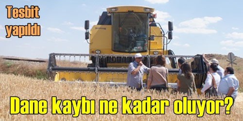 Dane Kaybı Ne Kadar?