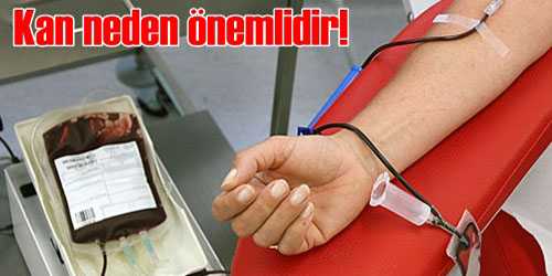 Kan Acil Değil,  Sürekli İhtiyaçtır