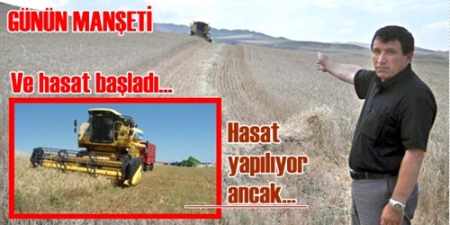 Ve hasat başladı!