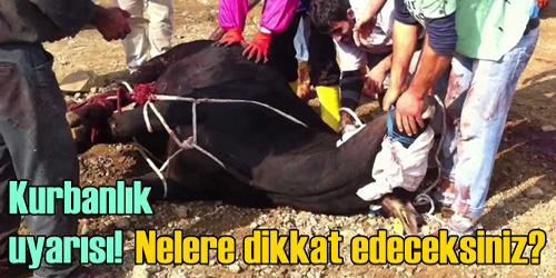 Kurbanlık Uyarısı