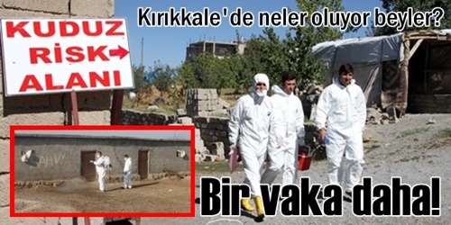 Sulakyurt