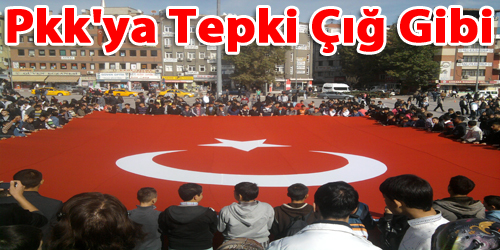 Pkk`ya Tepki Çığ Gibi